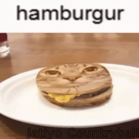 Car Burger GIF