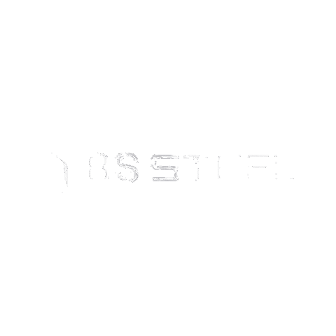 Bs Steel Sticker by BSPAR
