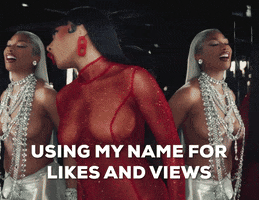 Clout Hiss GIF by Megan Thee Stallion
