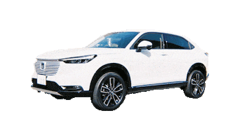 Driving Honda Sticker by GOOD GROOVE