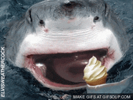 shark jaws GIF