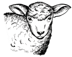 Schnauze & Co. Sticker