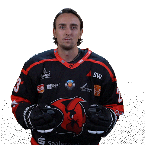 Happy Hockey Sticker by Saale Bulls