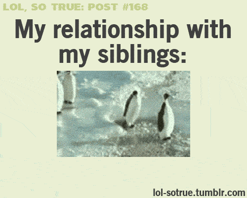 Happy Siblings Day GIF - Find & Share on GIPHY