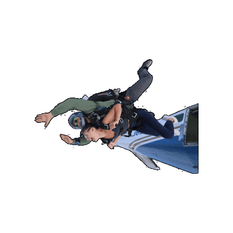 Skydiving Freefall Sticker by Airborne Petawawa