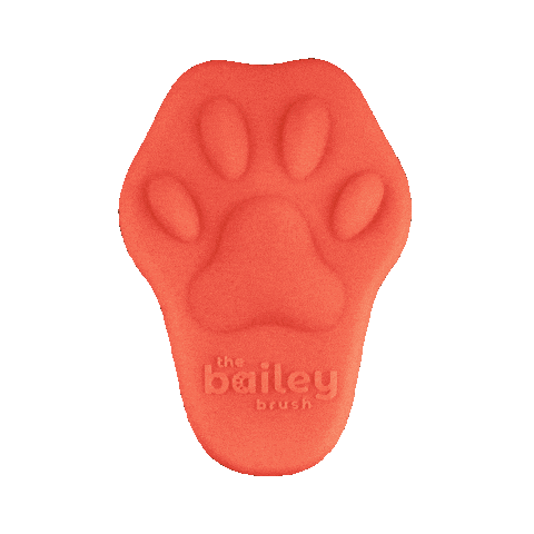 Donnie Cat Brush Sticker by BaileyCatCo