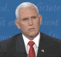 Mike Pence Fly GIF