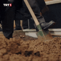 Funeral Grave GIF by TRT Funeral Grave GIF by TRT