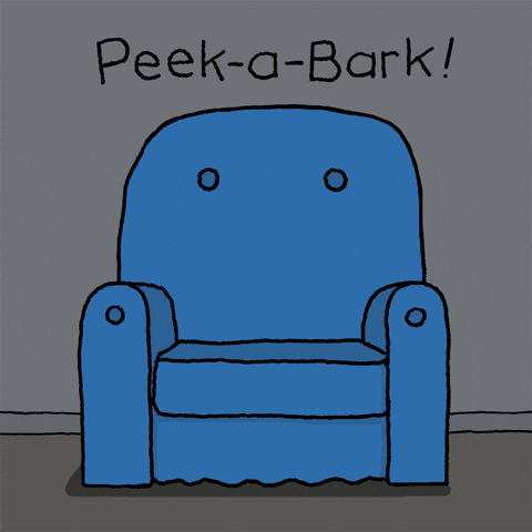 Peek A Boo Love GIF by Chippy the Dog