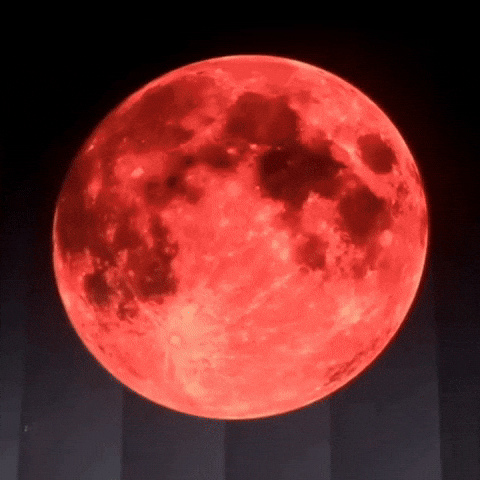 Yg Entertainment GIF