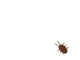 G Cockroach Sticker
