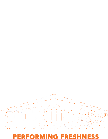 Orange Juice Sticker by CITROCASA
