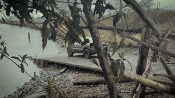 Pacific Northwest Washington GIF by Northwest Motorsport