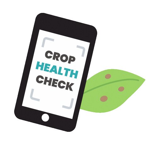 Plantix app Sticker