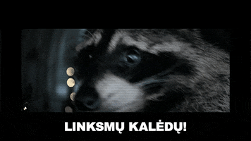 iprospect_memes GIF
