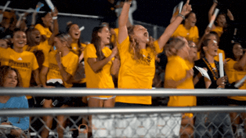 Cheer Crowd GIF by Georgia Southwestern State University