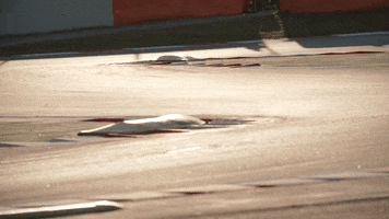 Daniel Ricciardo Racing GIF by McLaren