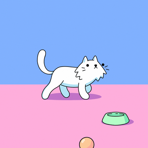 Leave Me Alone Cat GIF by doodles