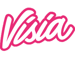 Online Marketing Design Sticker by Visia Media