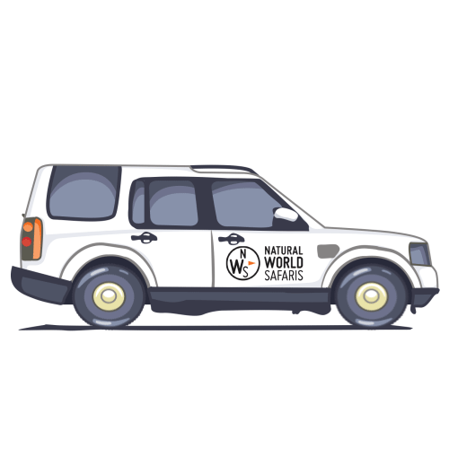 Car Love GIF