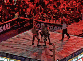Lucha Libre Win GIF