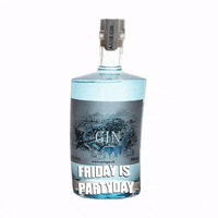 Party Friday GIF by AARE GIN