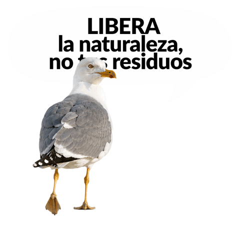 Proyectolibera Sticker by ecoembes