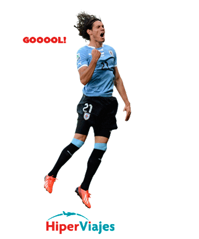 Copa America Goal Sticker by HiperViajes