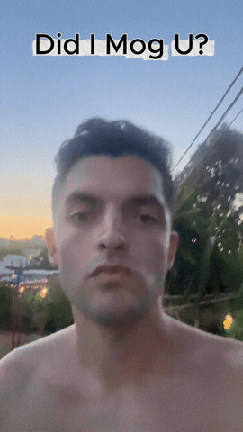 Pool Chad GIF