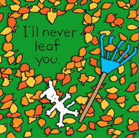 Autumn Leaves Love GIF by Chippy the Dog