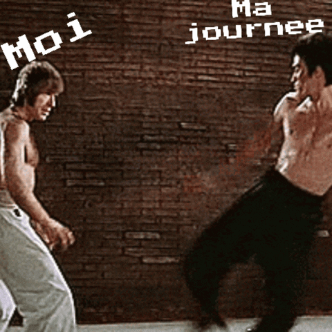 Bruce Lee GIF