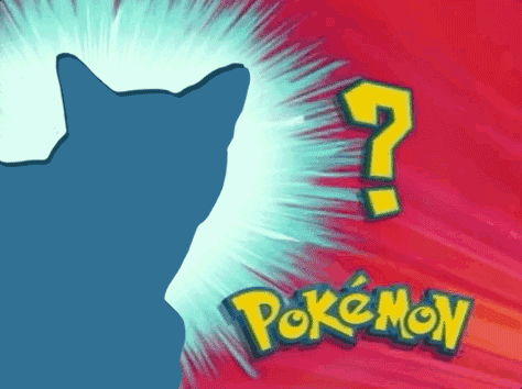 Ash Ketchum Cat GIF by Nebraska Humane Society - Find ...