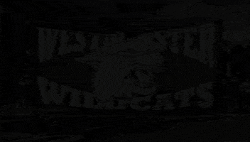 wildcats thewestminsterschools GIF by Westminster