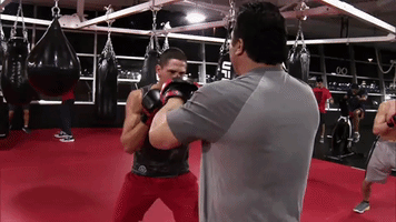 boxing fighter GIF by UFC
