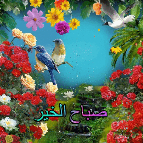 صباح الخير GIF