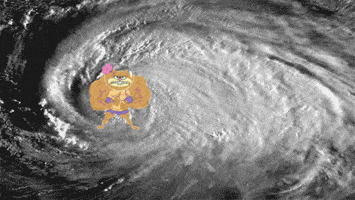 hurricane sandy storm GIF