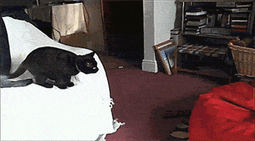 Video gif. A black cat prepares to jump onto a red bean bag. It launches itself and lands while a huge nuclear explosion is edited on top.