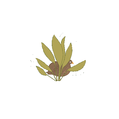 Blijdorp Sticker by Bob