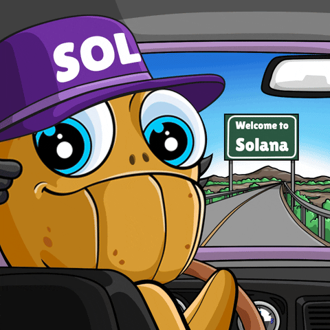 Crypto Sol GIF by Love Monster
