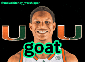 Basketball Miami GIF