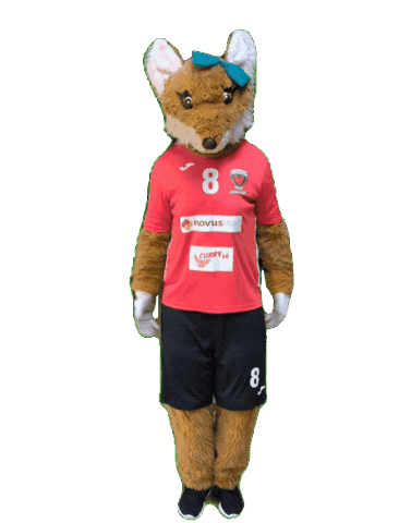 Handball Foxxie Sticker by ihr-gutachten.com