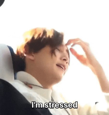 Stressed 세븐틴 GIF