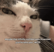 Cats GIF