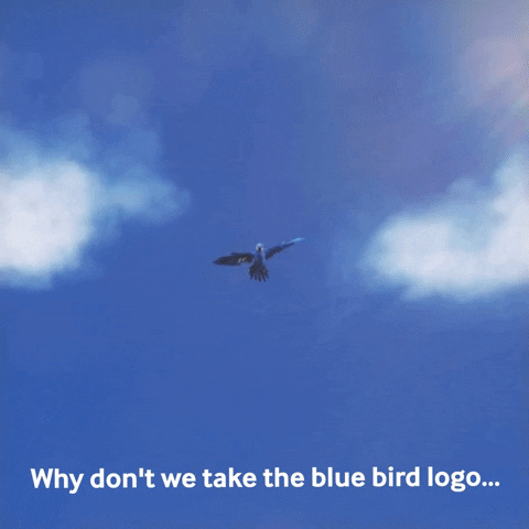 Blue Bird Macaw GIF by Toyota USA