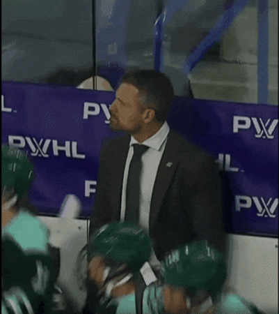 Hockey Omg GIF