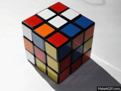 giphy.gif