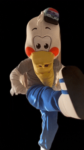 St Pete Run Fest GIF