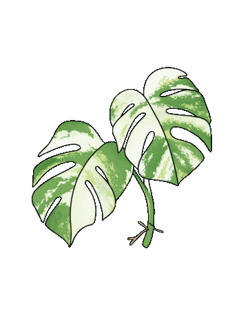 Plant Sticker
