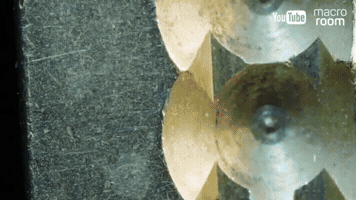 MacroRoom  GIF