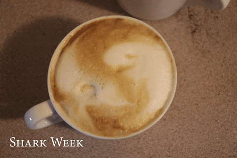 Latte Art GIFs Get The Best GIF On GIPHY